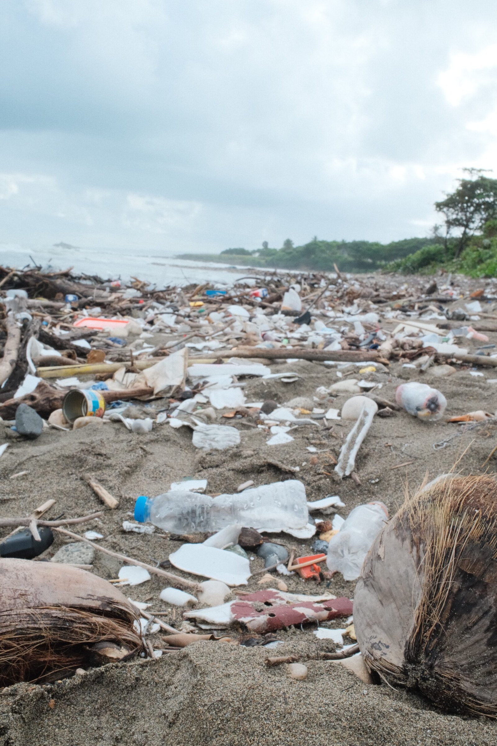 plastic waste, global plastic crisis