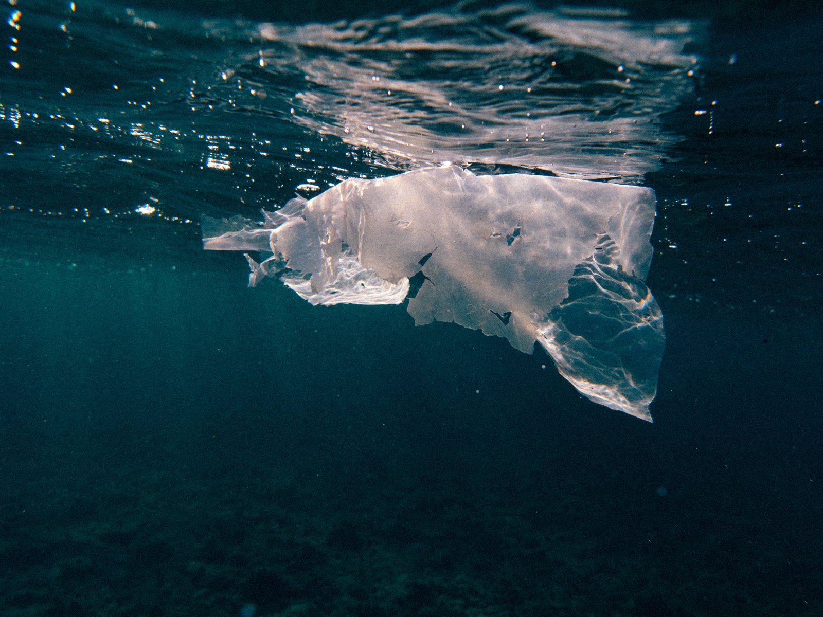 plastic waste, global plastic crisis